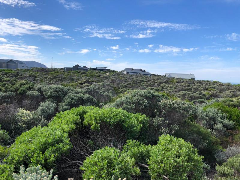 0 Bedroom Property for Sale in Romansbaai Estate Western Cape